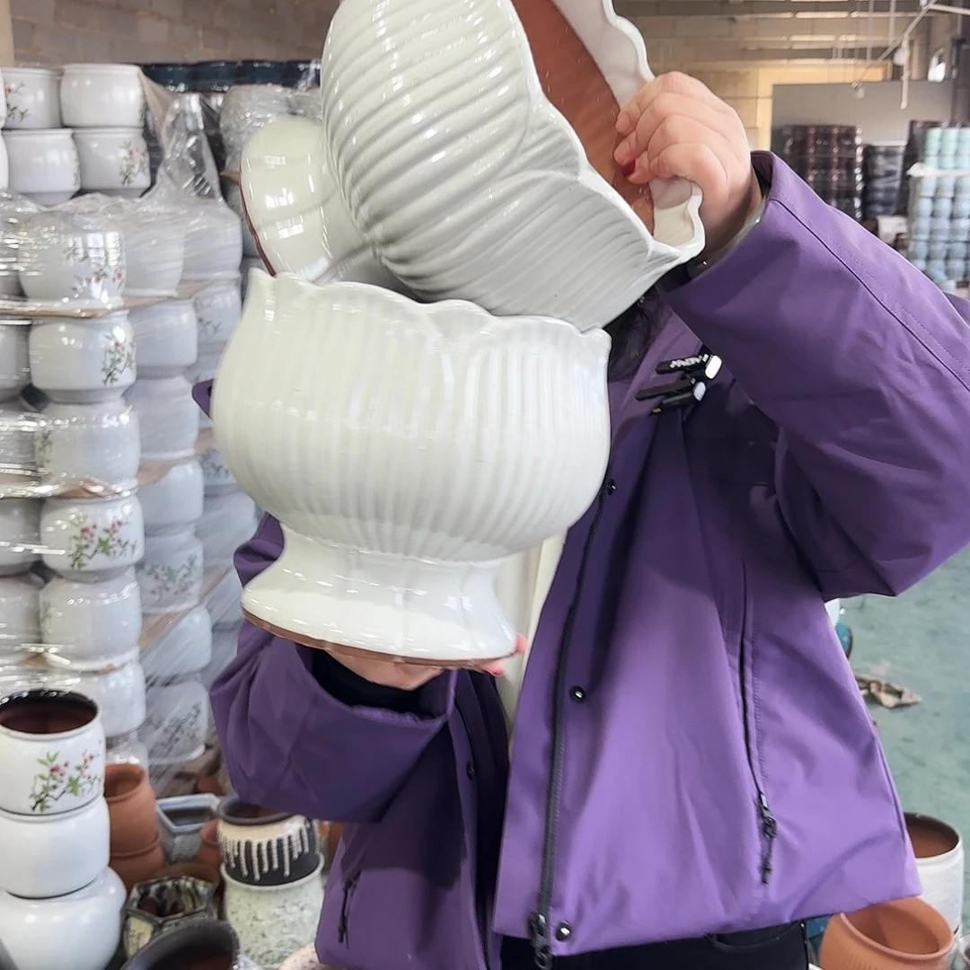 正品两个高20/20红陶