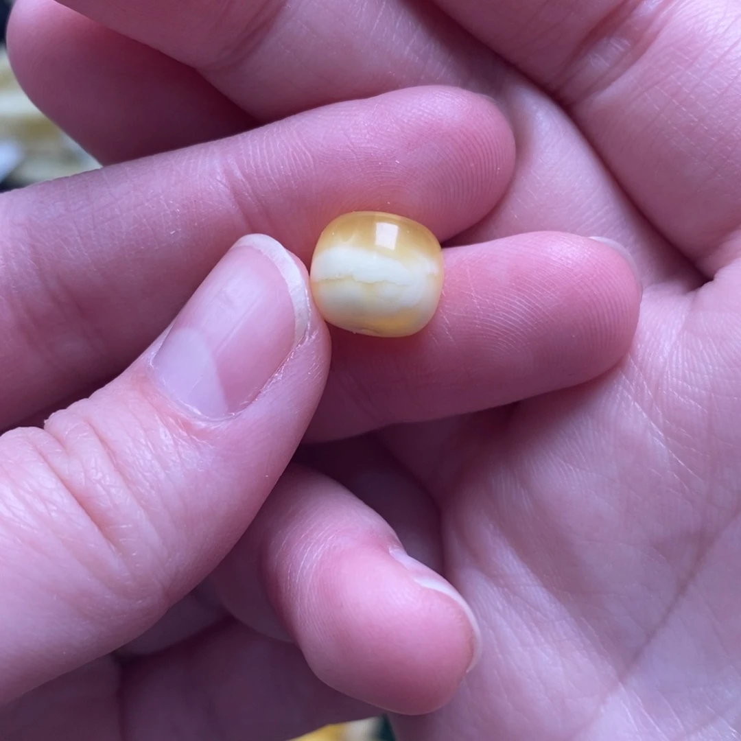 蜜蜡未镶嵌珠宝奇石10.6✖️9.3