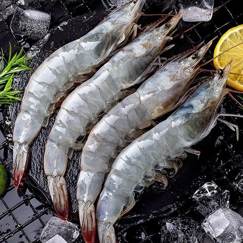 特大号海洋大虾 新鲜活虾锁冻到手5斤 12-15只/斤 顺丰冷链发货