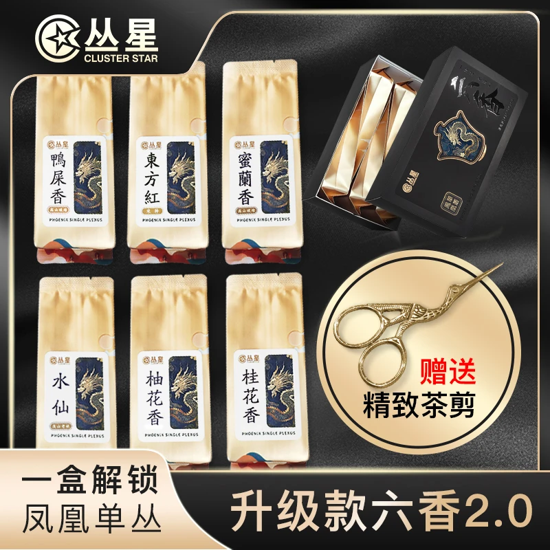 丛星凤凰单丛茶六香型潮州春茶乌岽鸭屎香蜜兰香桂花香水仙东方红