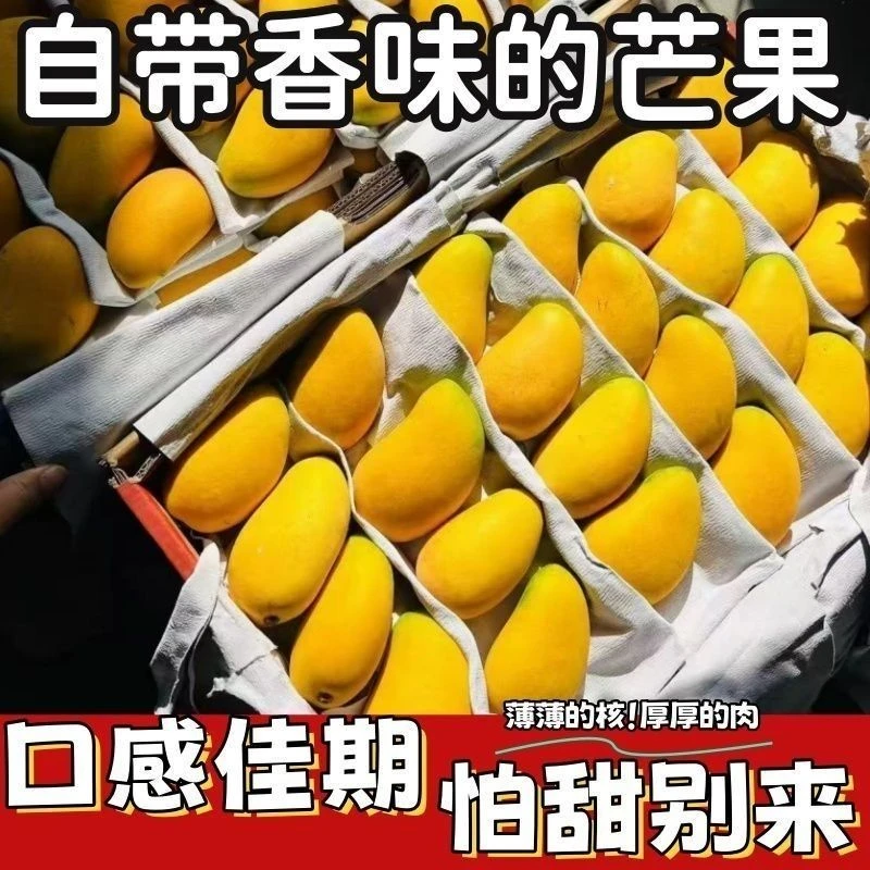 【现摘现发】小台芒当季新鲜现摘应季水果鸡蛋芒薄皮台农芒果整箱