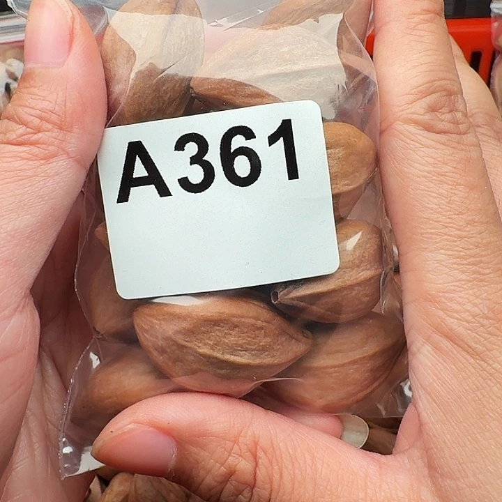 手***坤橄榄核手串/手链橄榄