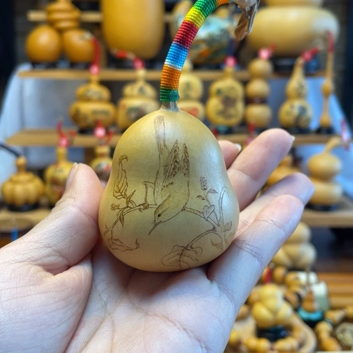 熹天然葫芦自然生长