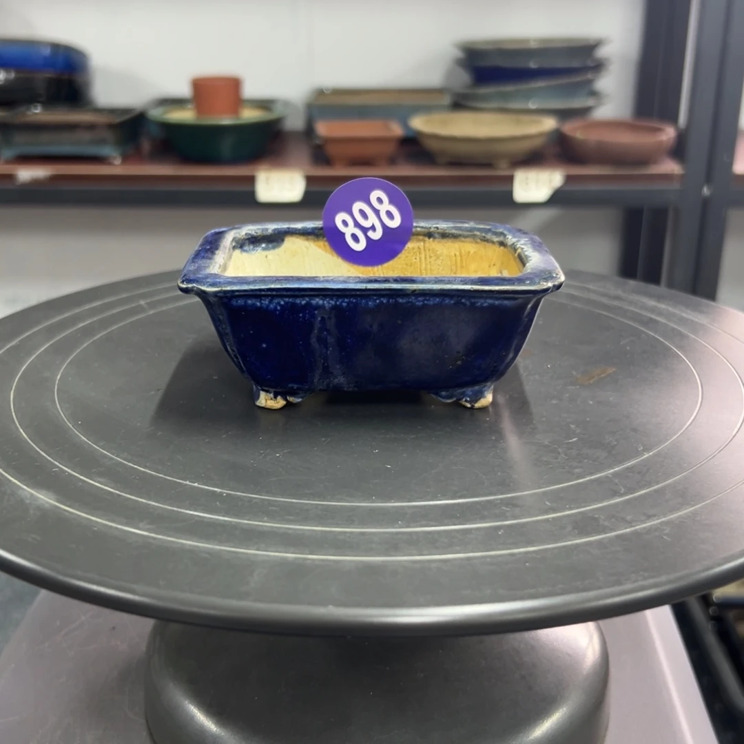 红陶海红红火火过大年898