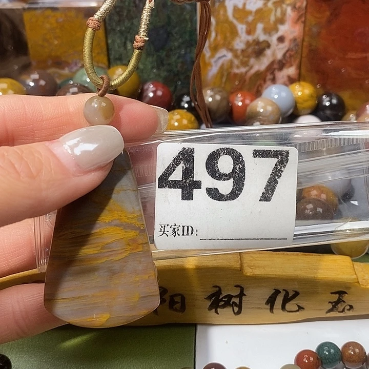 硅化玉未镶嵌天然北票树化玉吊坠