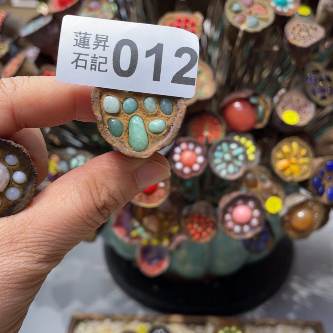 核桃木/黑胡桃（胡桃木）小***狸012