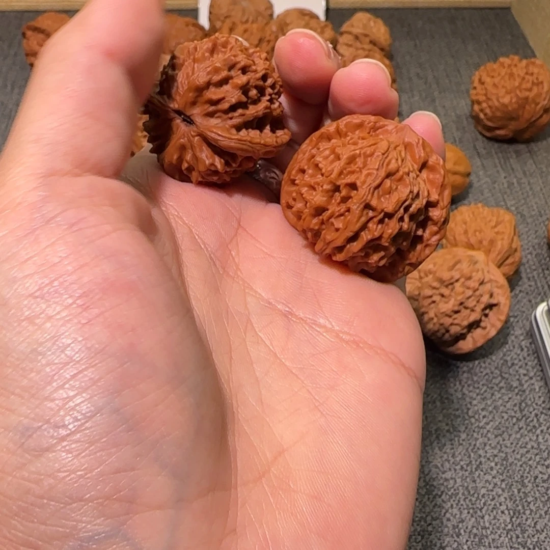 核桃Free哥专拍核桃