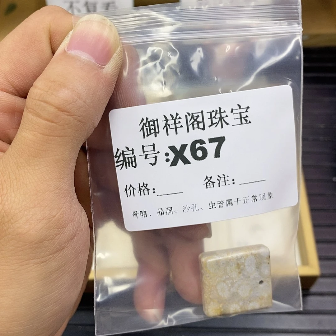 硅化珊瑚（珊瑚玉）未镶嵌颈饰用****5