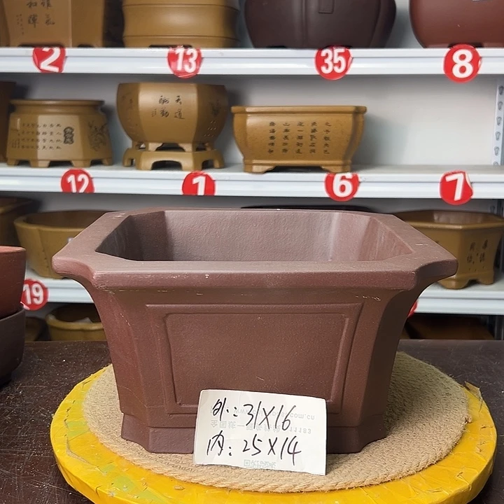 紫砂花盆你在一起