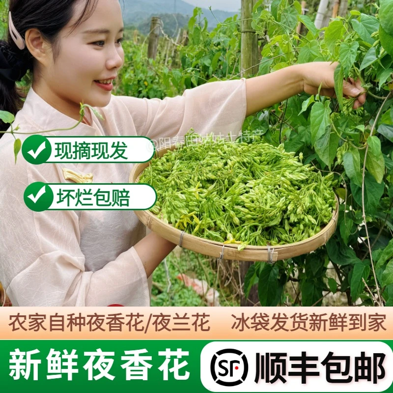 顺丰新鲜现摘夜香花夜兰香煮汤煎蛋农庄西餐厅蔬菜特色菜脆嫩甘甜