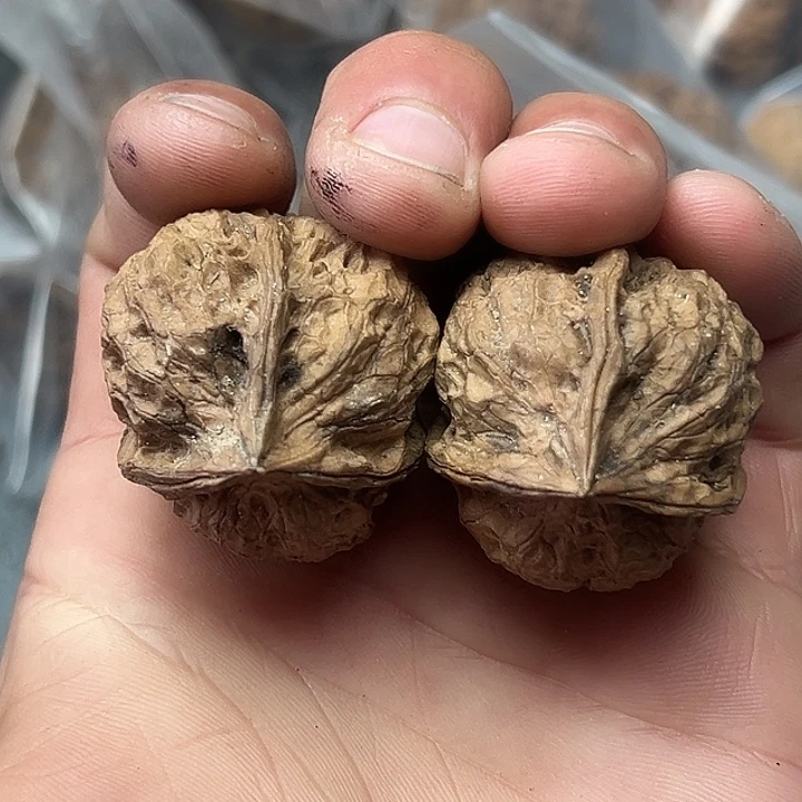 文玩核桃把件51号异兽三楞35尺