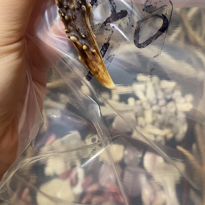 瞌***蜂无非金属鹿角鹿角