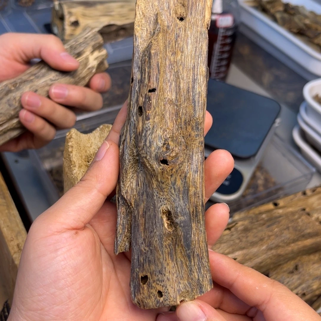 沉香碎屑沉香奇楠沉香熏香黑珍珠虫漏60克