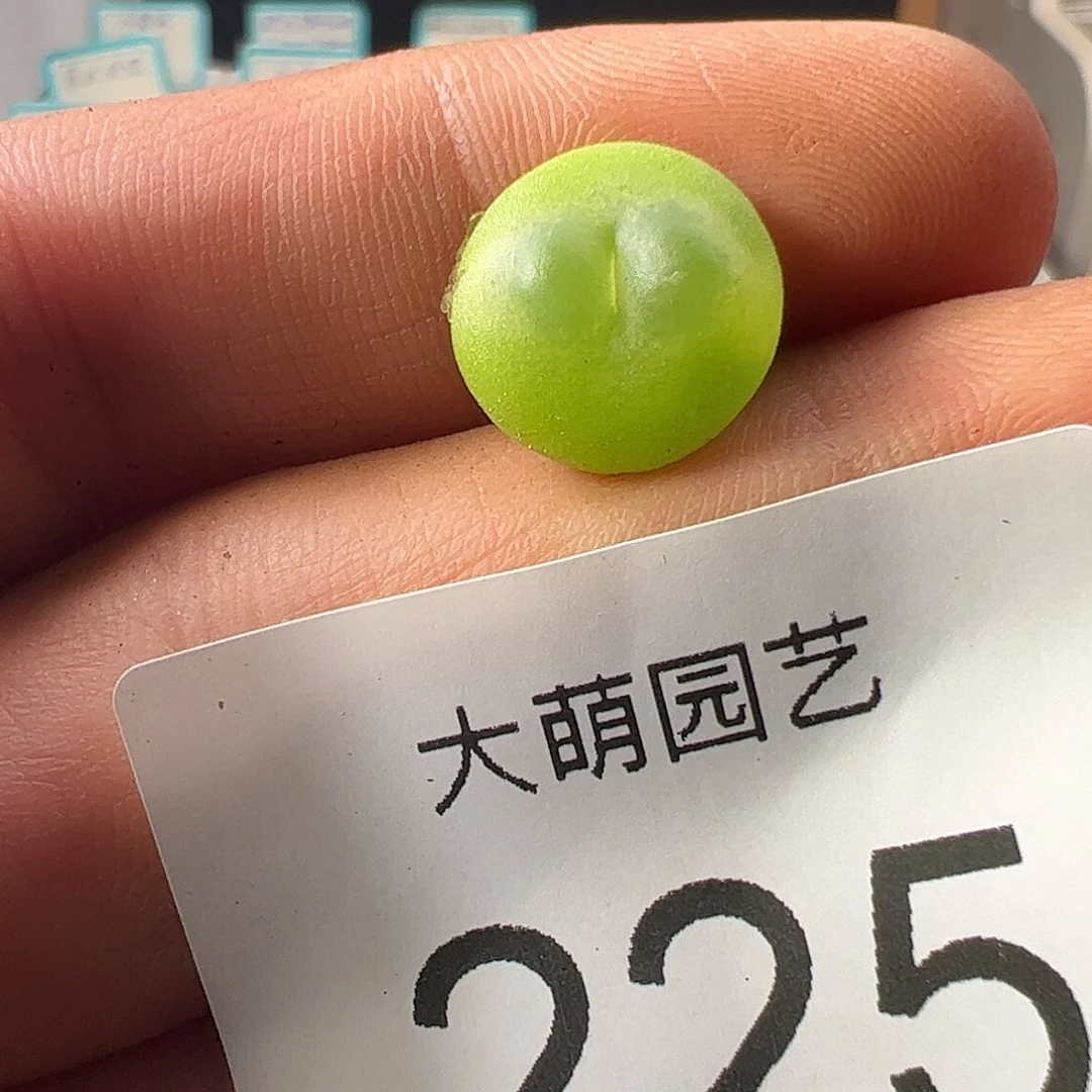 0000225 一物一拍……