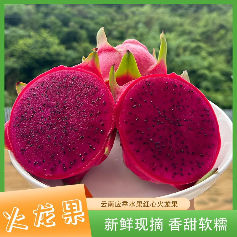 云南新鲜红心火龙果香甜多汁现摘5斤装