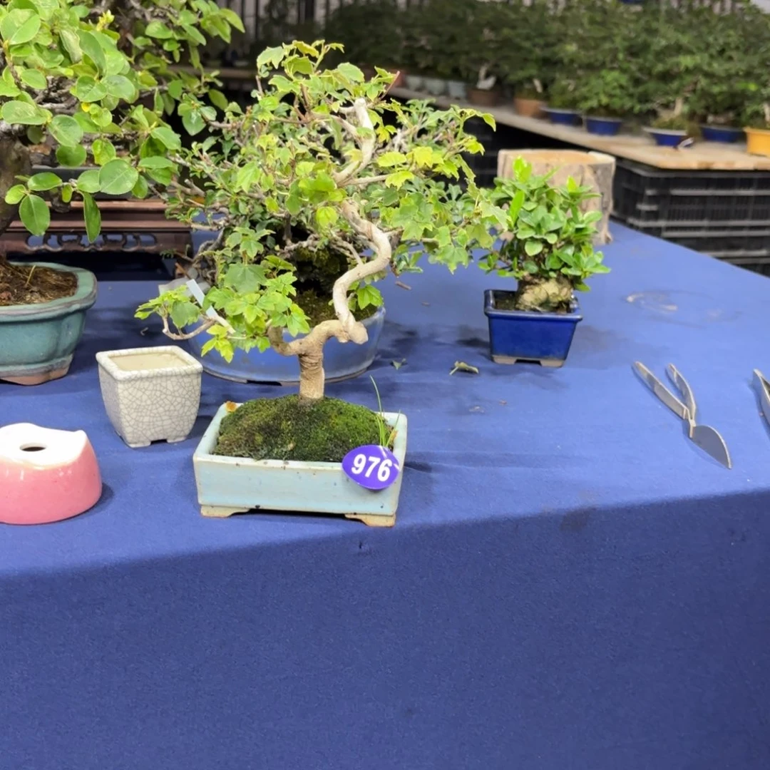 逍****京全场观众热烈鼓掌976