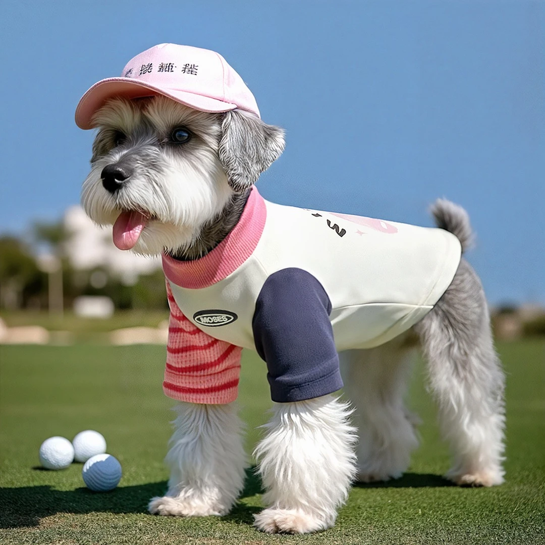 狗狗秋季撞色条纹卫衣小型犬比熊约克夏西高地雪纳瑞泰迪宠物衣服