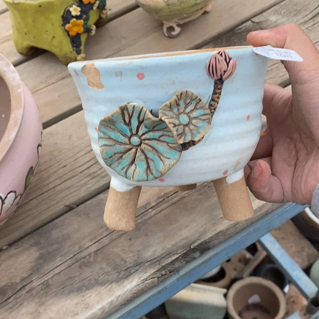 红陶思****.106号多肉盆一个呀