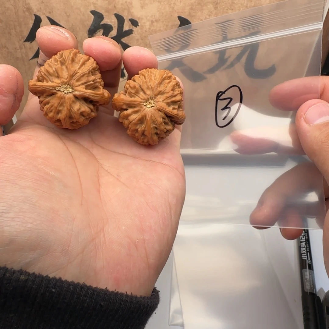 文玩核桃吊坠3水龙纹