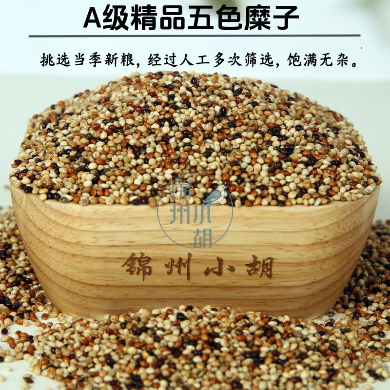 五色糜子 当年新粮 鸟粮杂粮真空包装鹦鹉粮玉鸟丝雀干净无杂