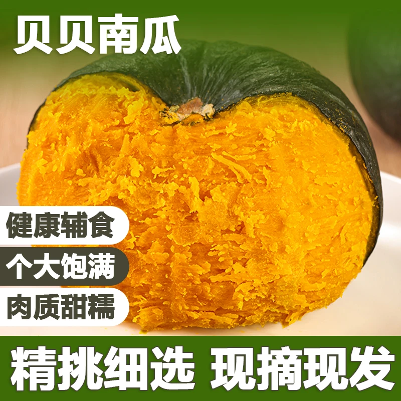 贝贝南瓜宁夏原产地口感细腻好吃沙软糯香甜带板栗味新鲜（达人3）