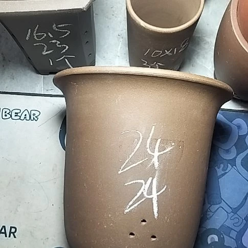 特大金钟一个花盆