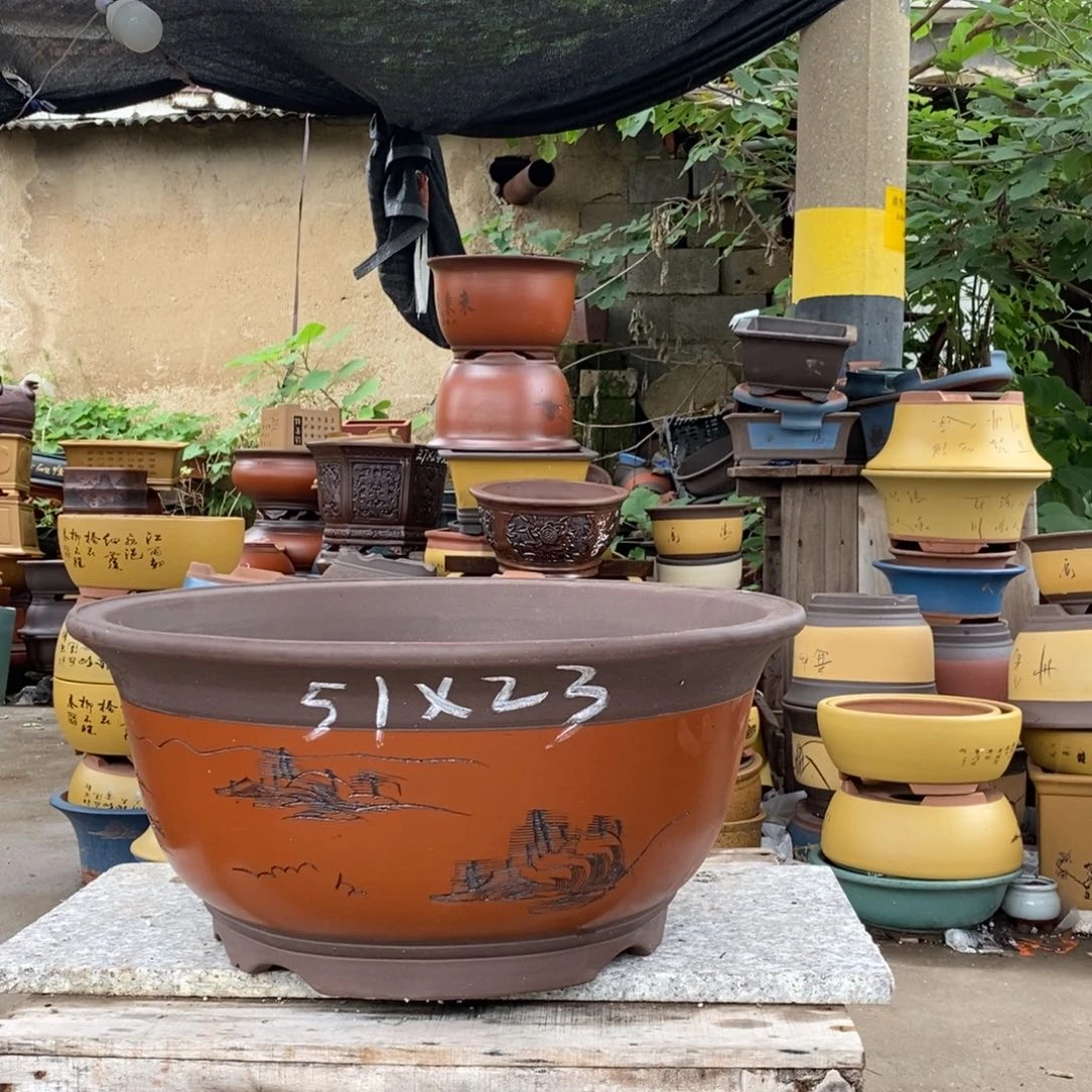 紫砂紫砂紫砂紫砂紫砂