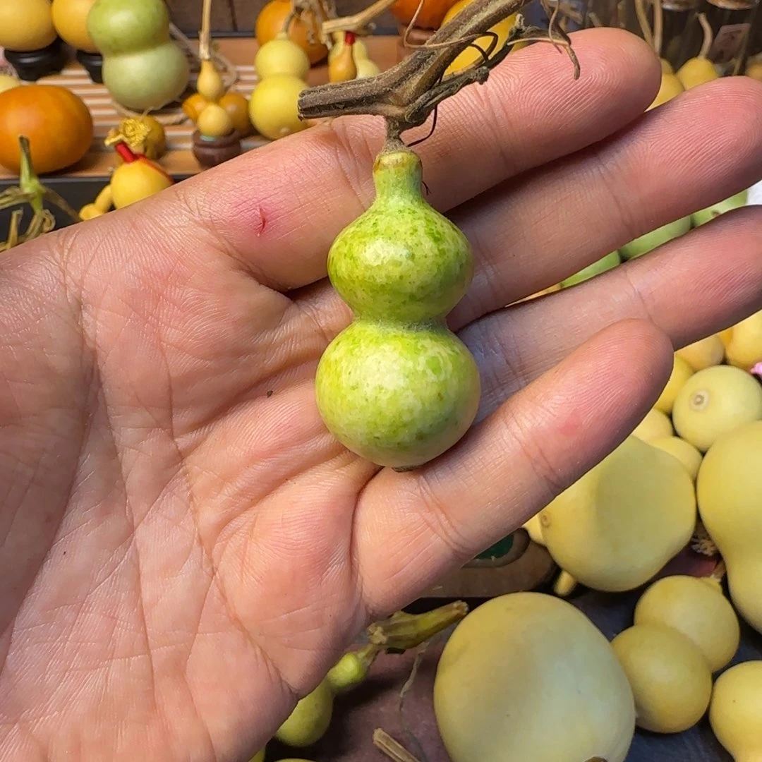 我****葫芦一枚小葫芦八宝器形