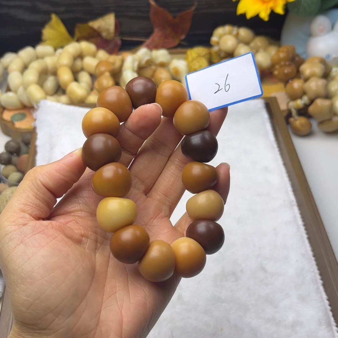 风***.吊坠菩提根/象牙果大肠通货干磨20mm