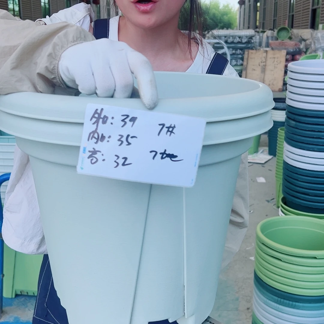 青山盆7#米白5个无托