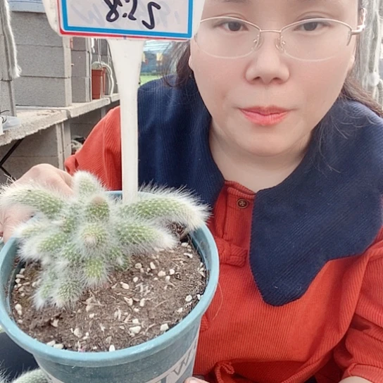 4983痛苦土甜咯土