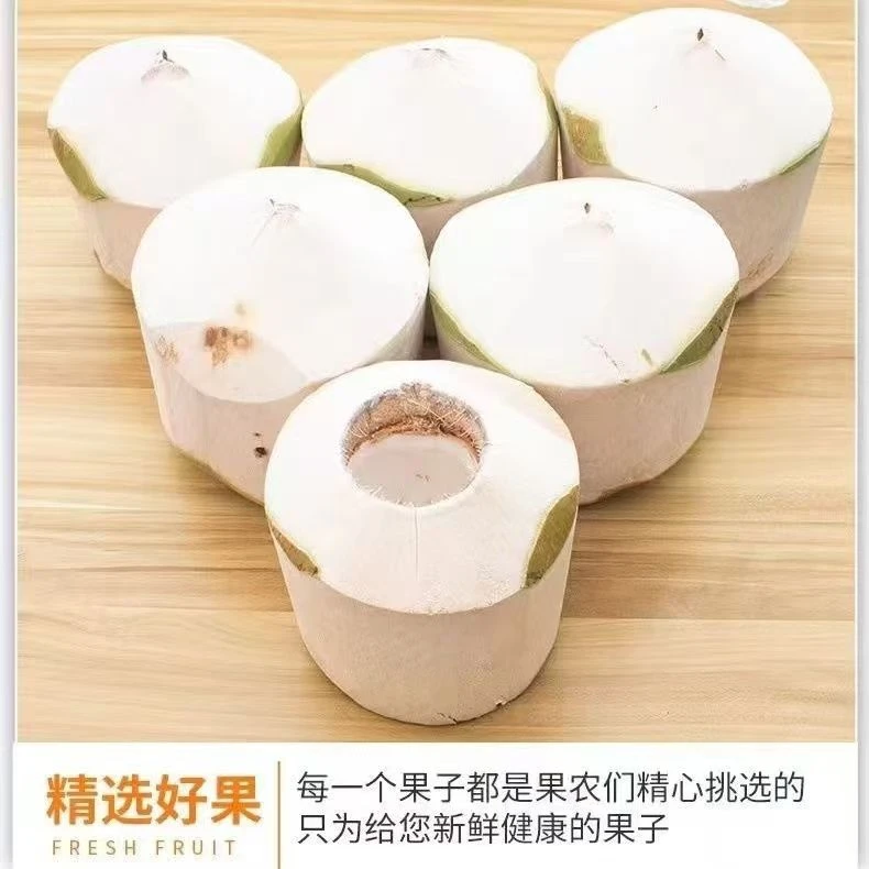 海南文昌东郊新鲜削皮椰青6个装坏果包赔天然口感微酸甜