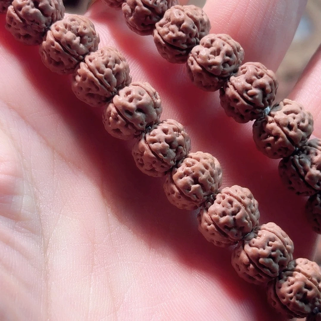 长***桦印度尼西亚小金刚勿里达纯血老树王手持