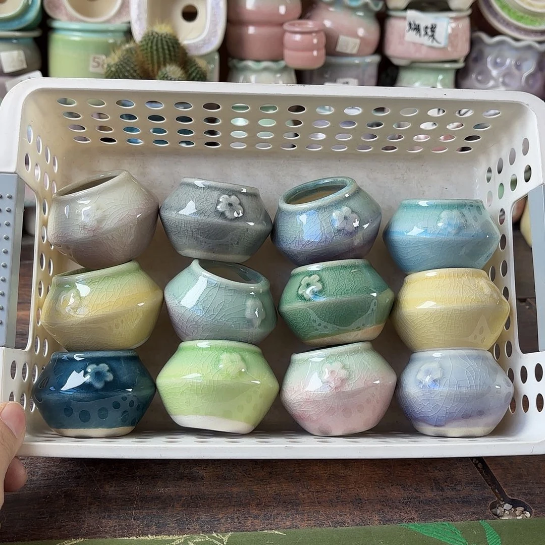 量货/3口高4深浅搭配发12