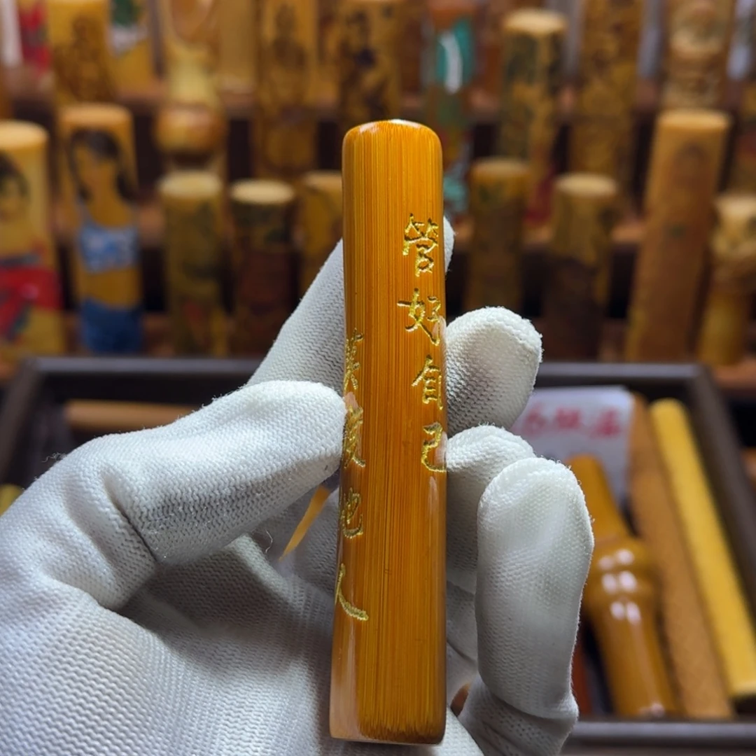 竹类精品实心玉竹