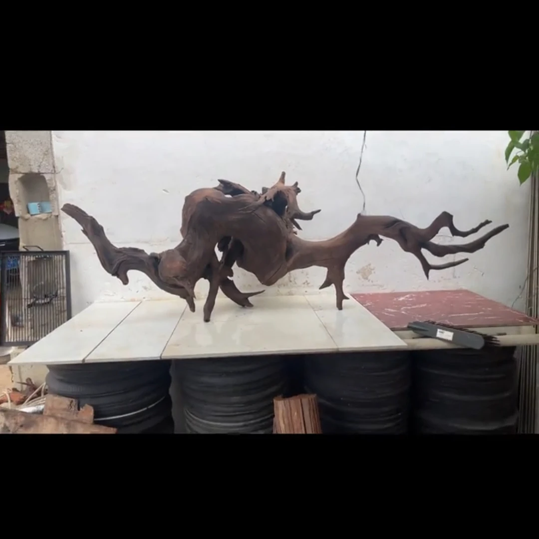 天然沉木景观【大沉木】原生草缸