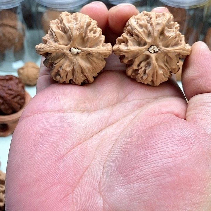 文玩核桃把件苹果园s01