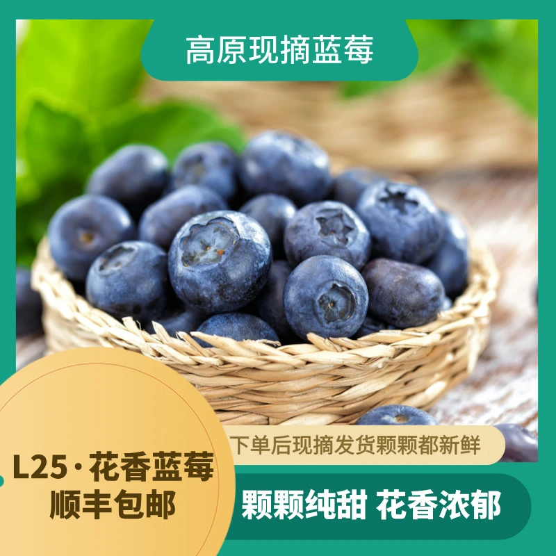 L25高原阳光花香蓝莓纯甜产地新鲜采摘顺丰空运包邮特大果礼盒装