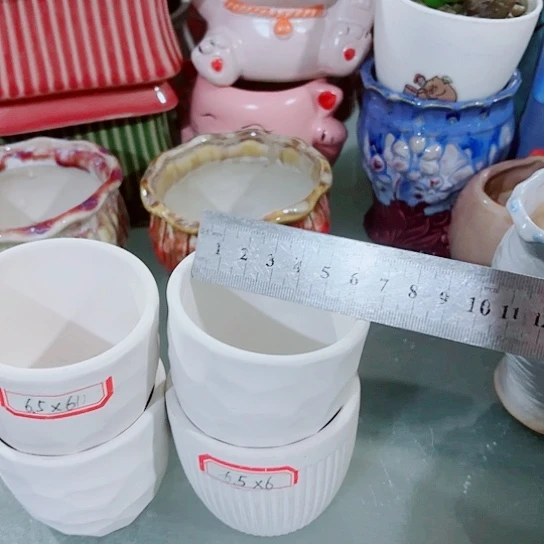 红陶1111111111111111111