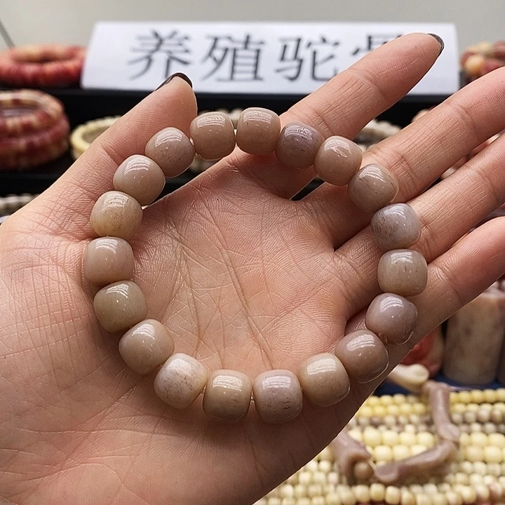 驼骨其他紫血手串12