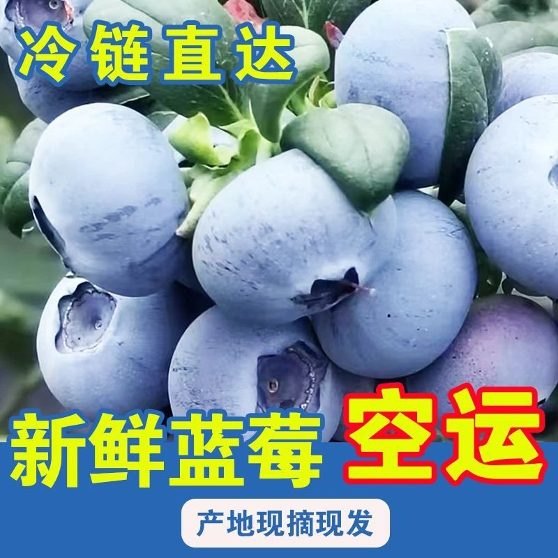 现采现发空运直达孕妇宝宝辅食3/5斤装酿酒果酱直吃批发团购