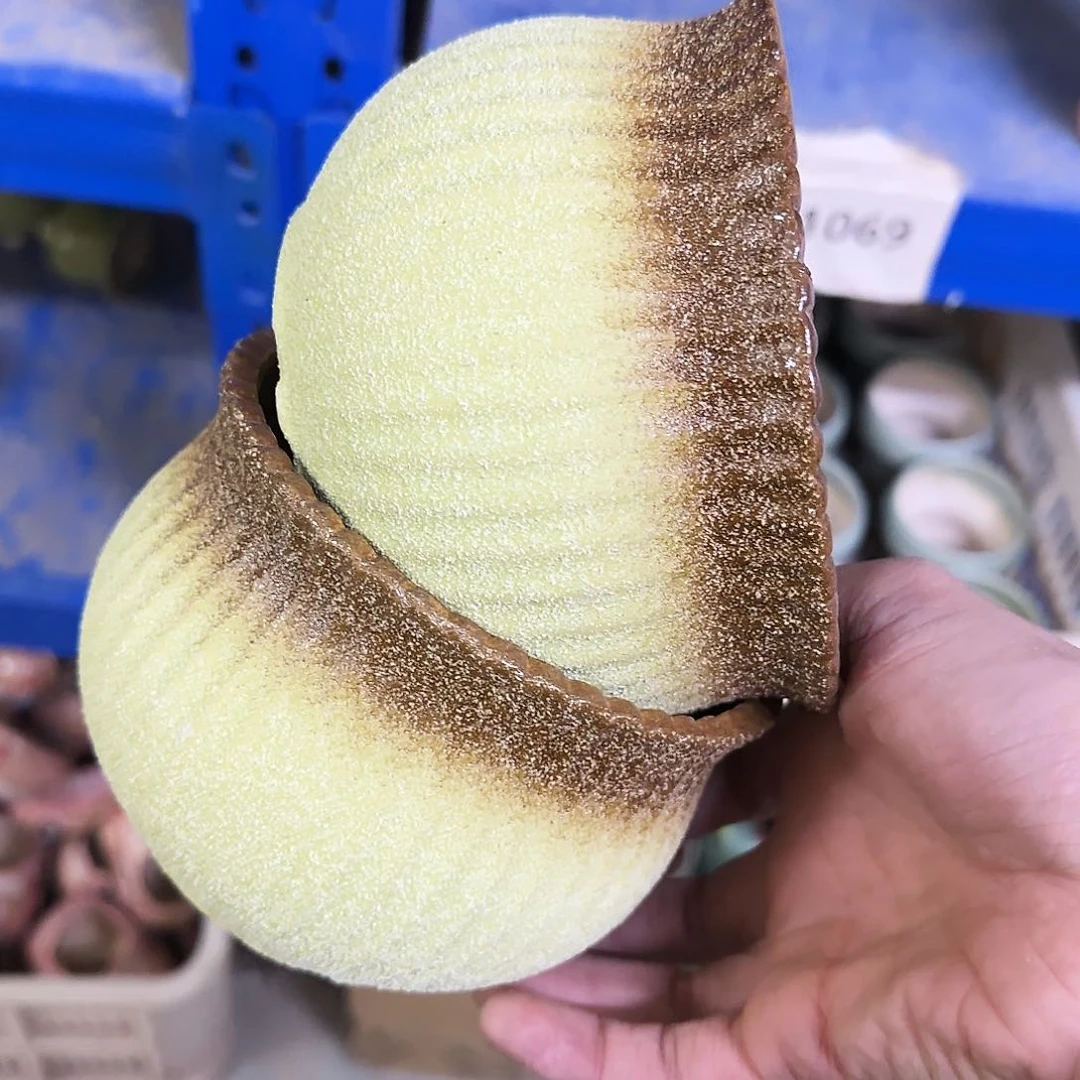 陶瓷2个福利局·自动合并订单·一个个买凑9元发·1069