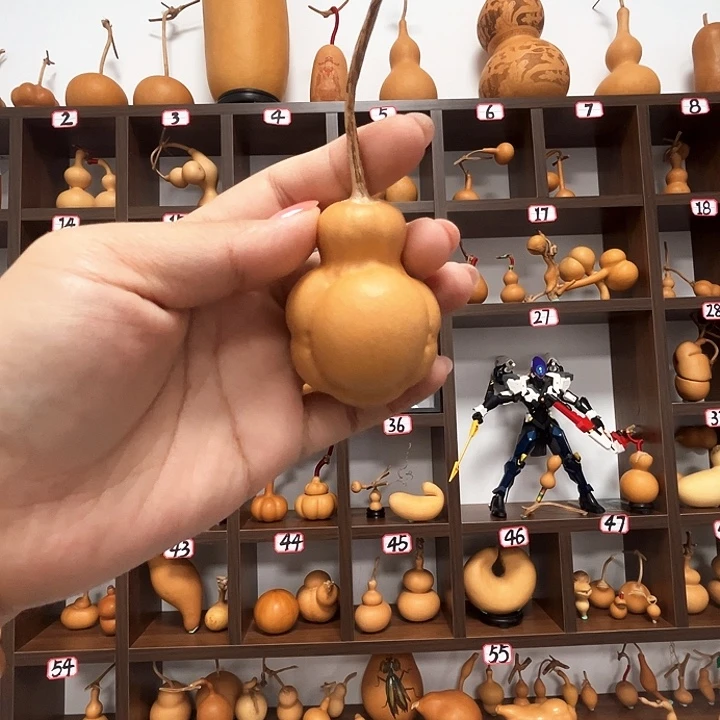 葫芦乌龟葫芦葫芦