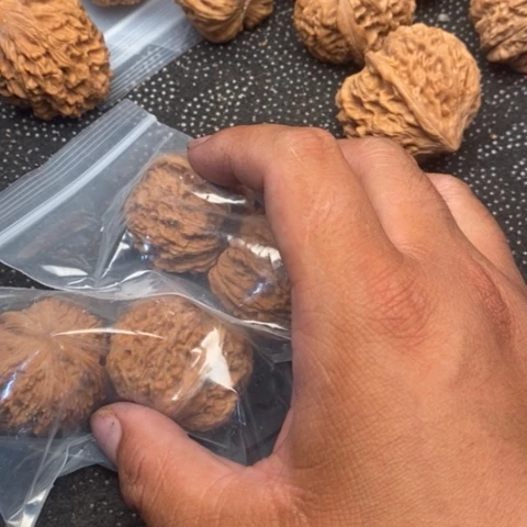 文玩核桃把件137品种