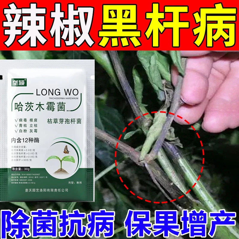 辣椒黑杆病专用黑杆烂杆叶面肥枯萎病叶斑病黄叶不落果疫病叶面肥