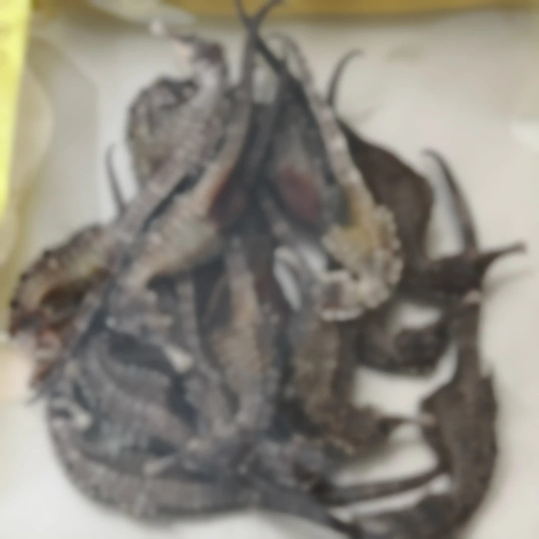 【普源优选】大自然鱼干 水产干货