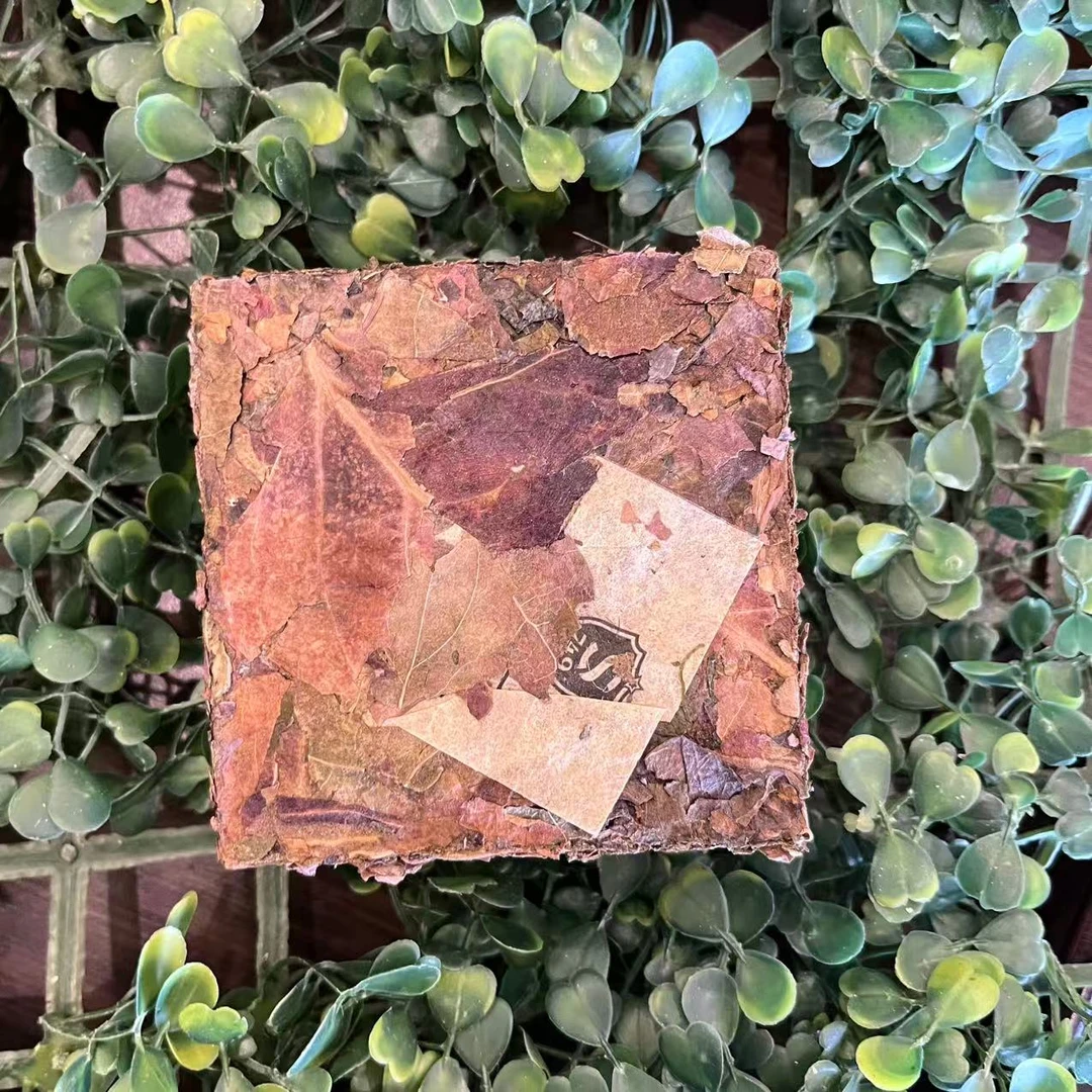 雨腾妹夫  “YW X茶修行”十大W年S木原叶200g/砖