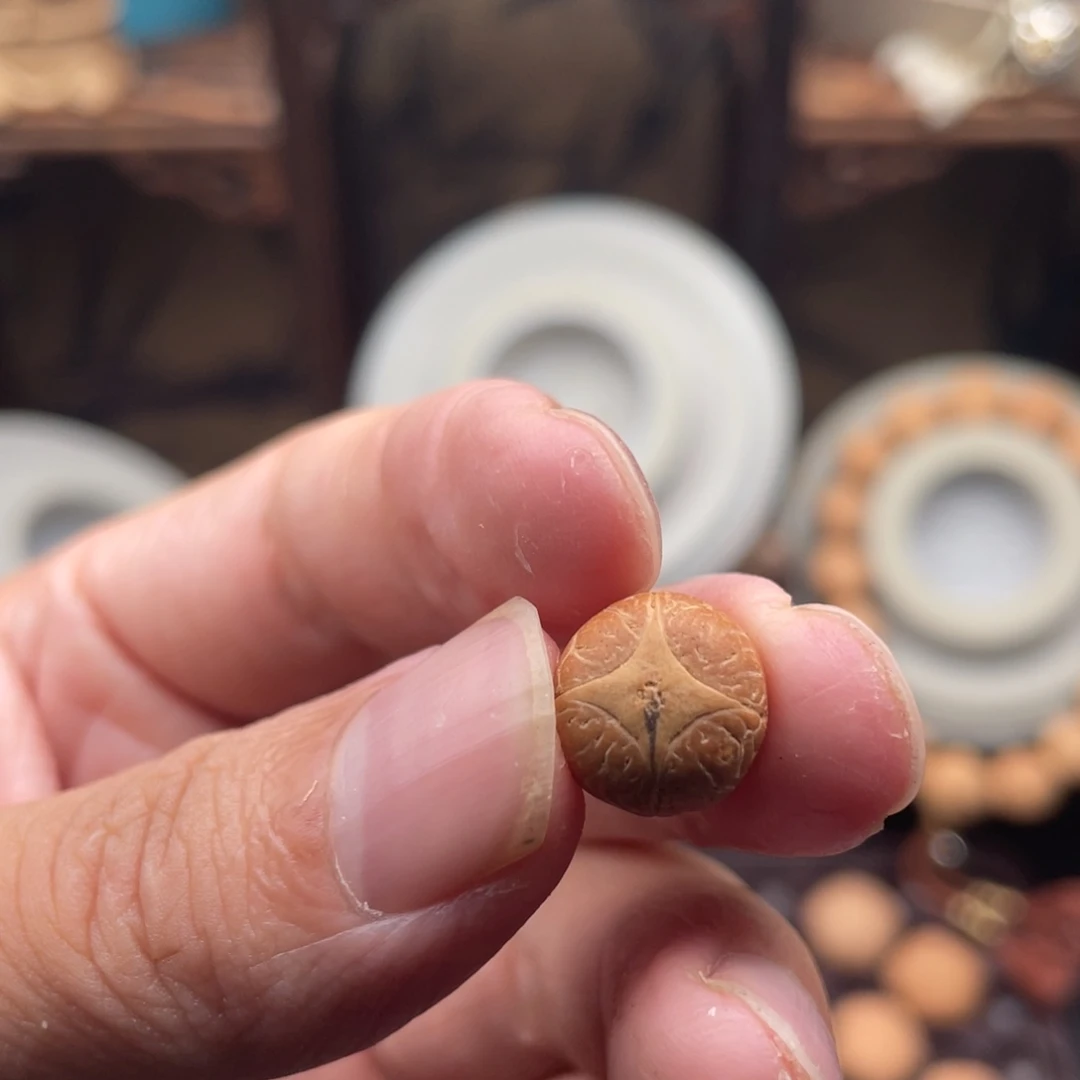 手串凤眼菩提小*麒麟