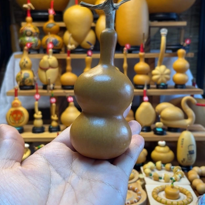 小***思天然葫芦自然生长