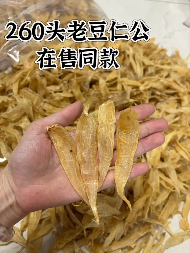 豆仁胶 孩子胶 花胶 0腥味低 滋补鱼鳔煲汤海产干货